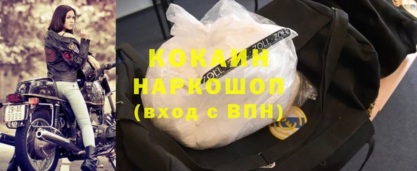 стафф Арсеньев