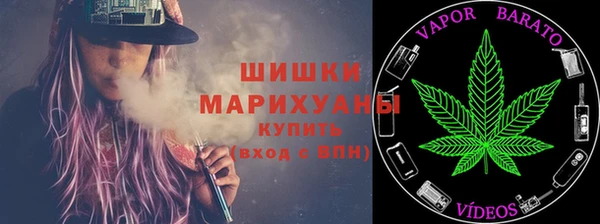 стафф Арсеньев