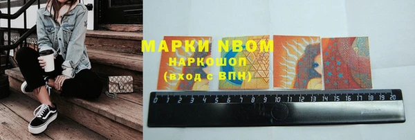 стафф Арсеньев