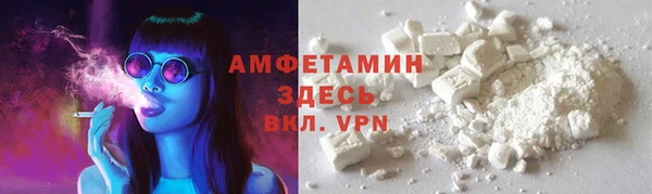 индика Магас