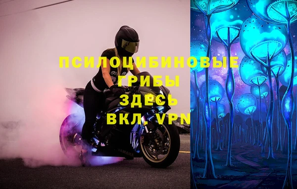 apvp Аркадак