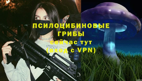 a pvp Армянск