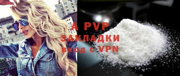 стафф Арсеньев