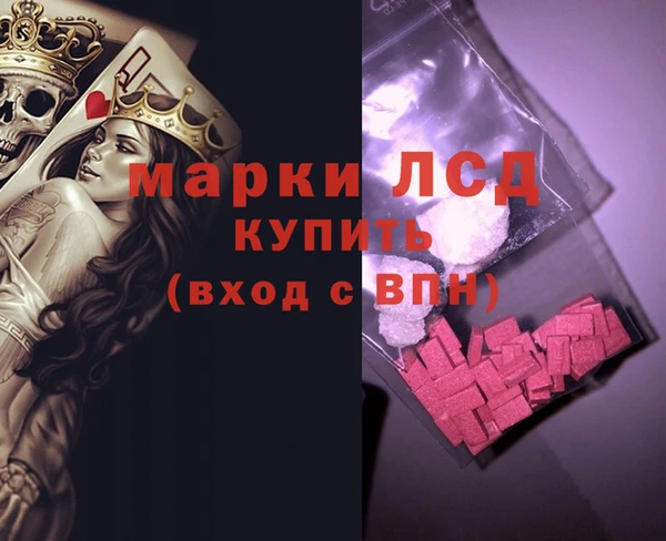 стафф Арсеньев