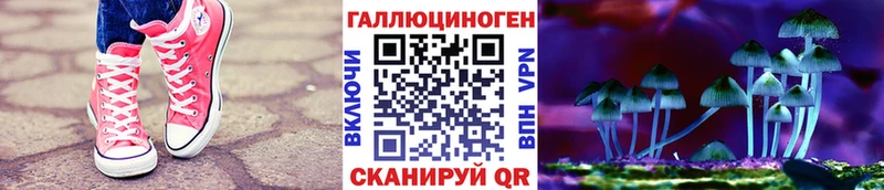 OMG зеркало Покачи Псилоцибиновые грибы Psilocybe